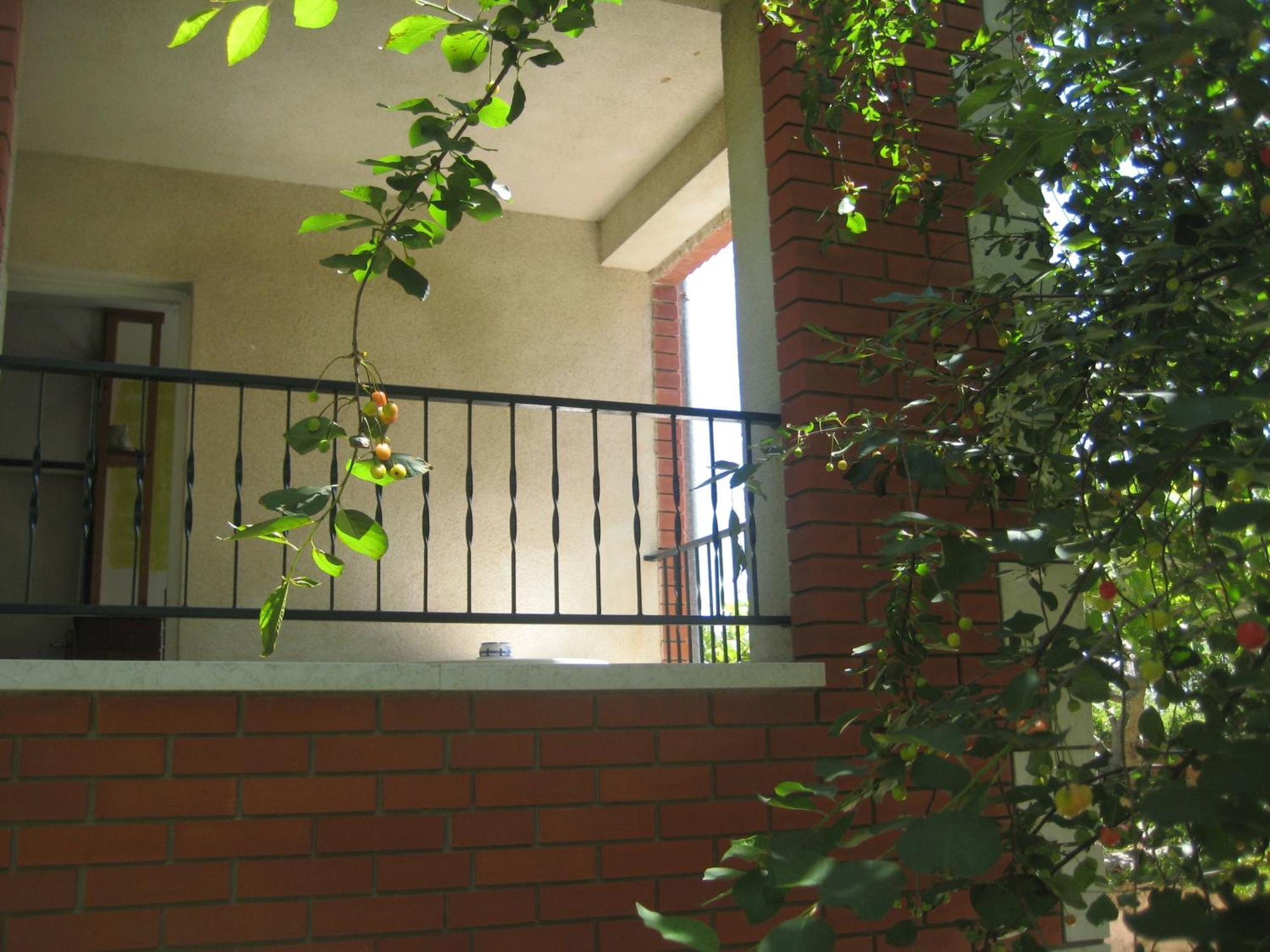 Appartamento House Kate Rovigno Esterno foto