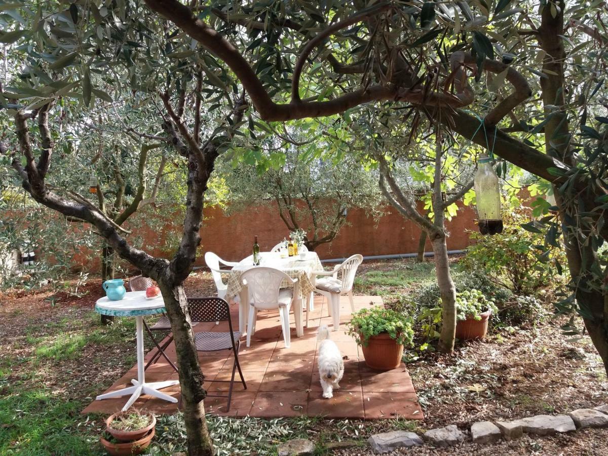 Appartamento House Kate Rovigno Esterno foto